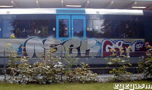 aser-gor01.jpg