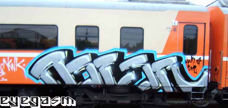 asesr01.jpg