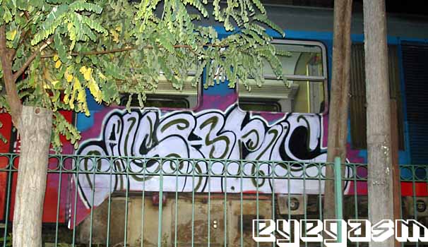 ashes002.jpg