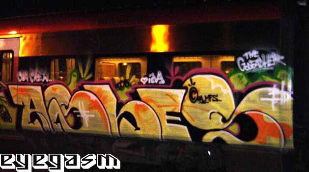 ashes05.jpg