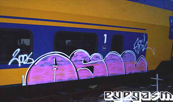 asil01.jpg