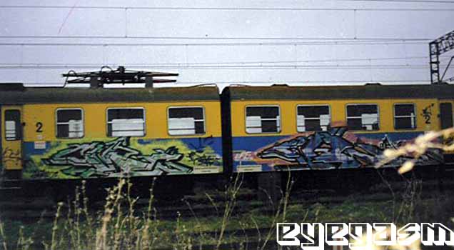 ave-ave01.jpg