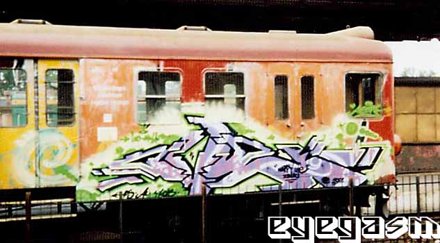ave02.jpg