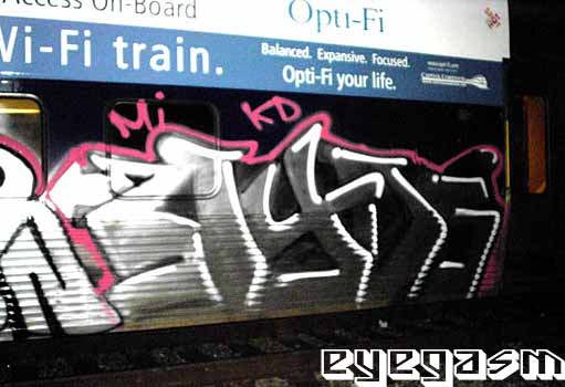 ayds01.jpg
