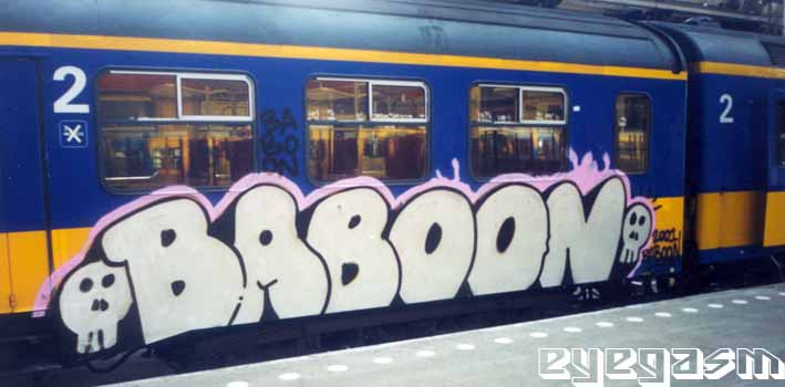 baboon01.jpg