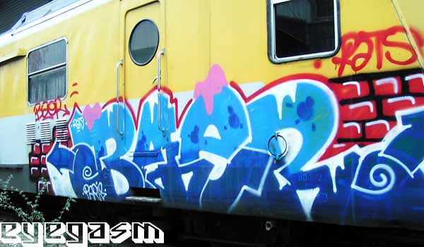 baer01.jpg