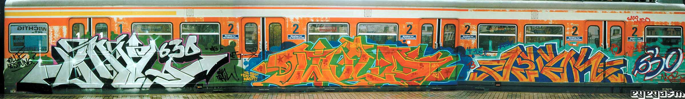 bail-wild-jesk01.jpg