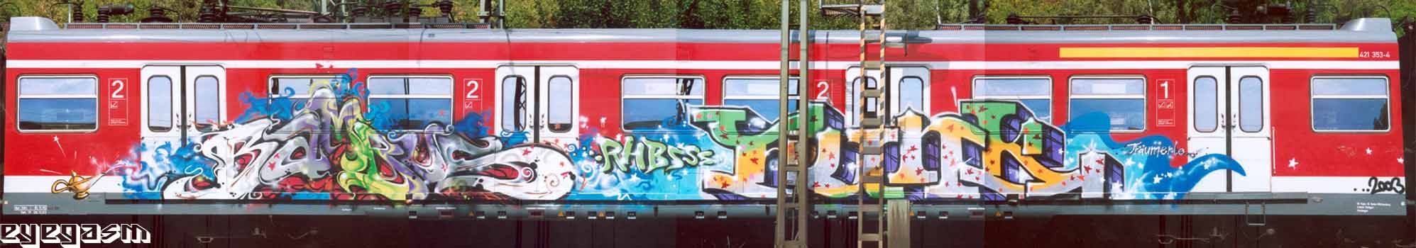 bambus-funk01.jpg