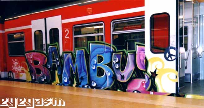 bambus01.jpg