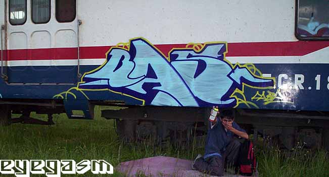 bas001.jpg