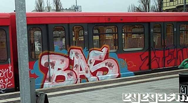 bas01.jpg
