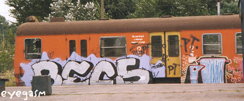 becs-pi01.jpg