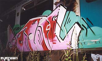 beeo02.jpg