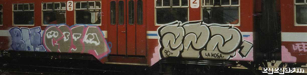 bie-cosa-zzz01.jpg
