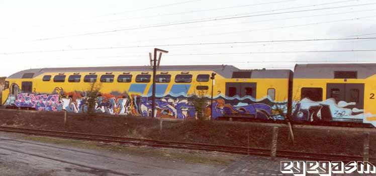 biso-willem-2star-bn01.jpg
