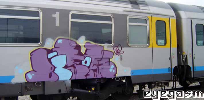 bison01.jpg