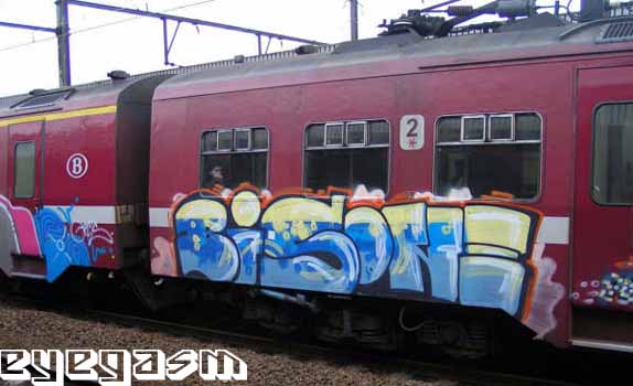 bisone01.jpg