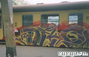 bitch08.jpg