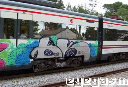 bk01.jpg