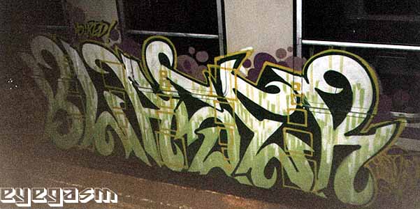 blaser01.jpg