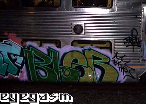 bler01.jpg