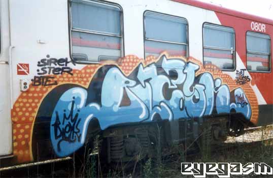 bleyk13.jpg