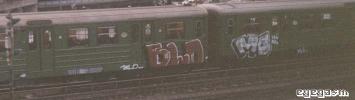 blo-md01.jpg