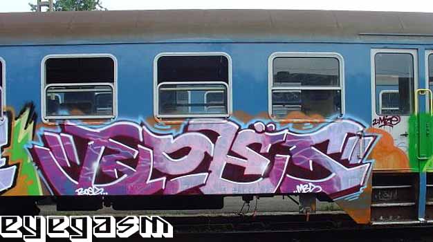 boes03.jpg