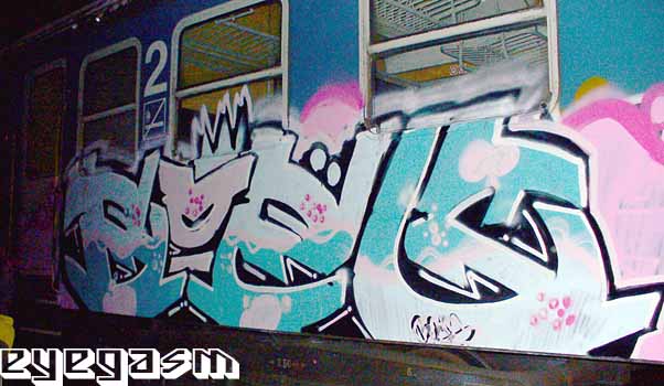 boes06.jpg