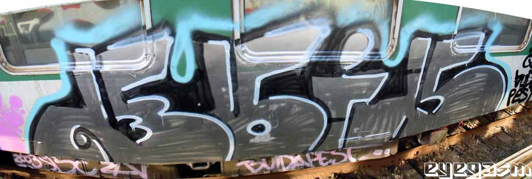 boid02.jpg