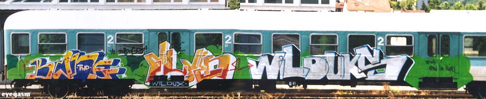 bone-flyer-wilduks01.jpg