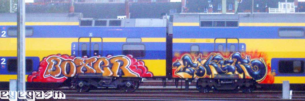 boxer-boksr01.jpg
