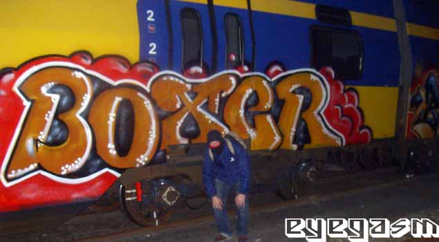 boxer01.jpg