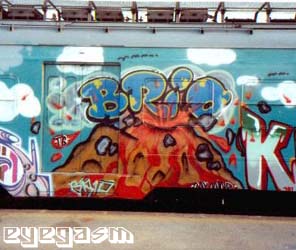 brio05.jpg