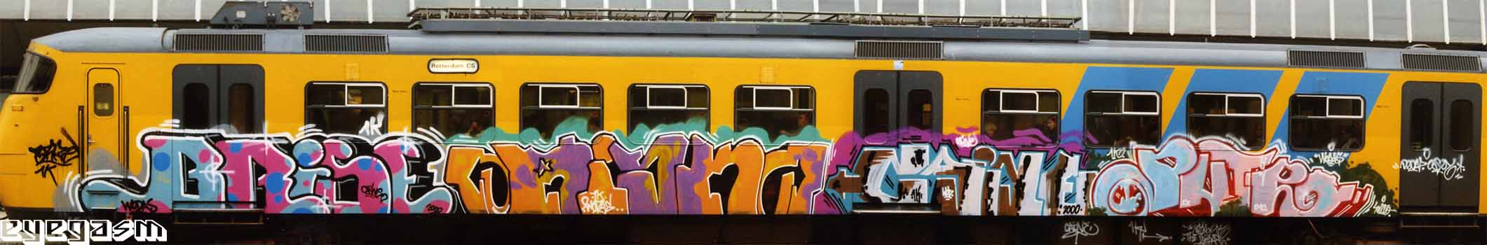 brise-risk-caine-pute01.jpg