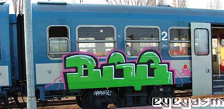 bs301.jpg