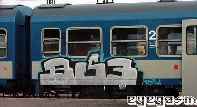 bs302.jpg