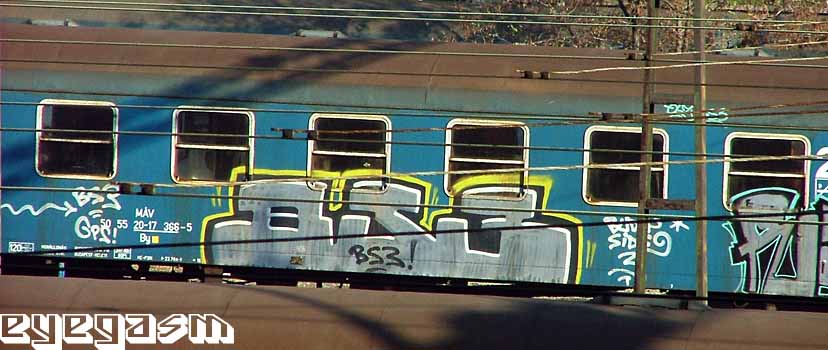 bs304.jpg