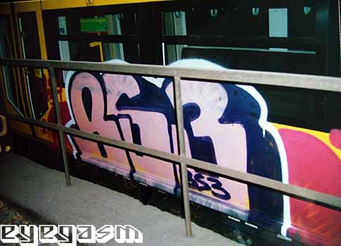 bs305.jpg