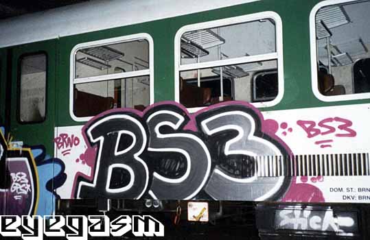 bs307.jpg