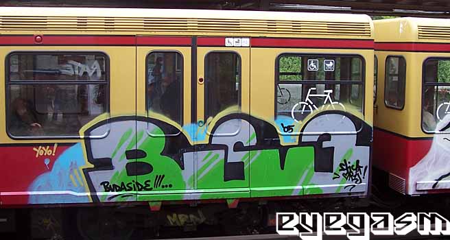 bs310.jpg