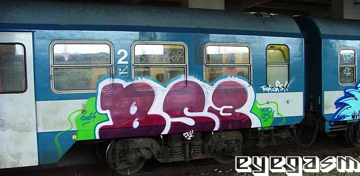 bs312.jpg