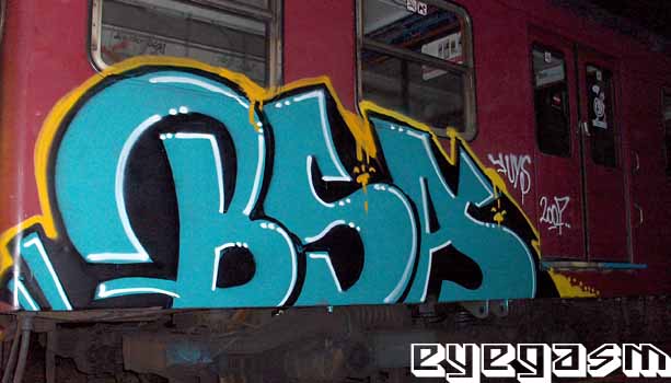 bsa001.jpg