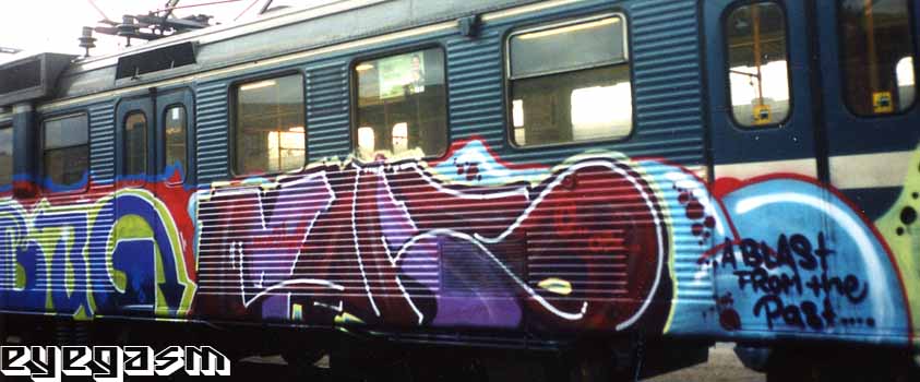 bug-moas01.jpg