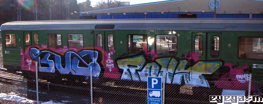 bug-roxy01.jpg