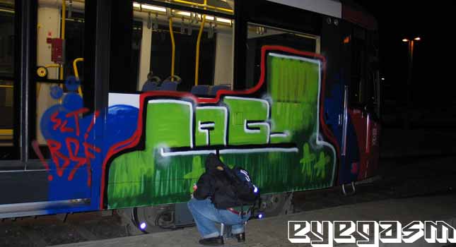 cage01.jpg