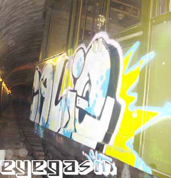 calie02.jpg