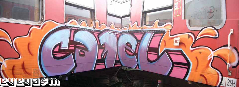 camel0001.jpg