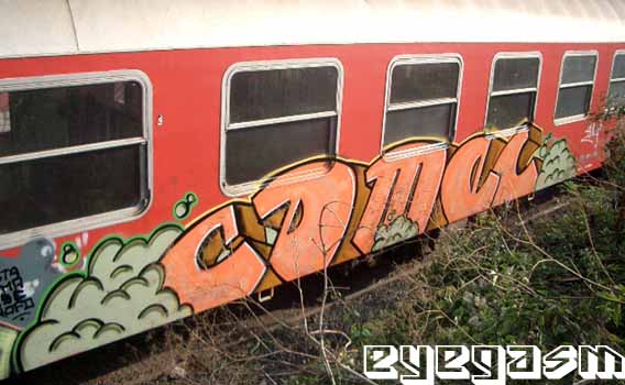 camel0002.jpg