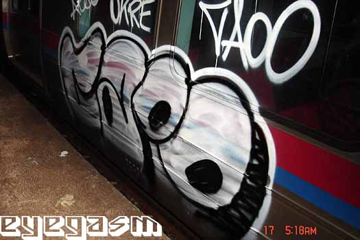 caoo01.jpg